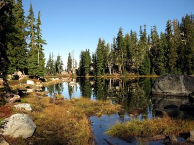 Waterdog lake