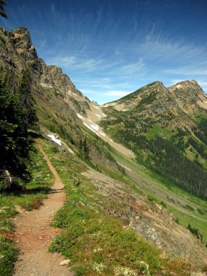 Woody Pass view