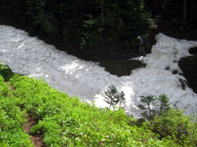 Lingering Snow fields