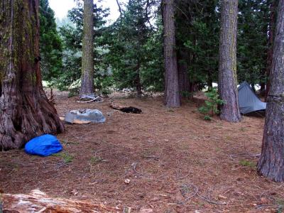 My campsite in Morris Meadows.