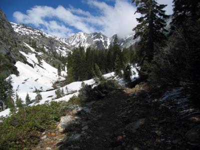 Stuart Creek trail