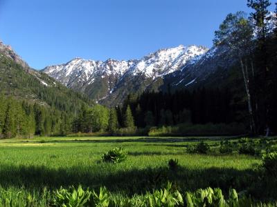 Morris Meadows morning