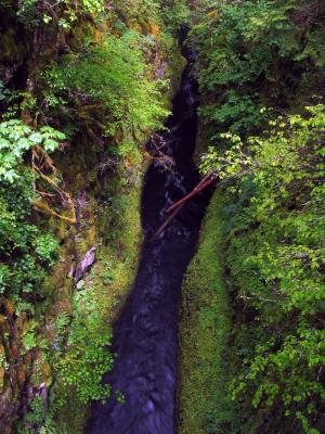 High Bridge view