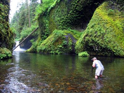 Punch Bowl Falls meets Mad Monte