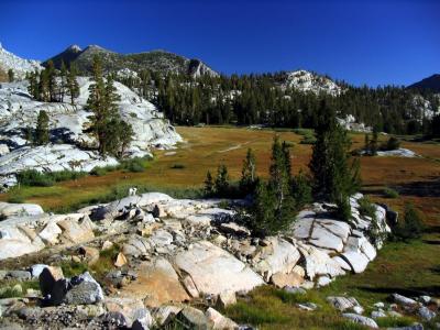 Pika scouting the route out of the Sierra