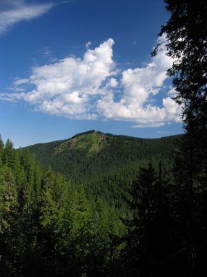 Baldy peak and the Timberline trail