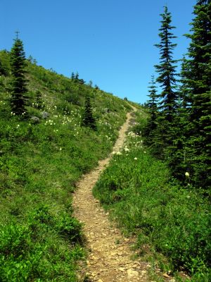 Indian Peak trail down to Indian springs