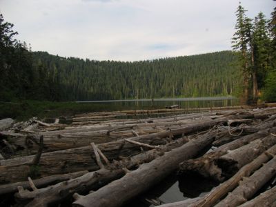 Wahtum Lake outlet in the evening