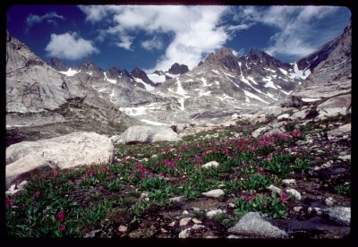 Titcomb Basin upper valley meadow