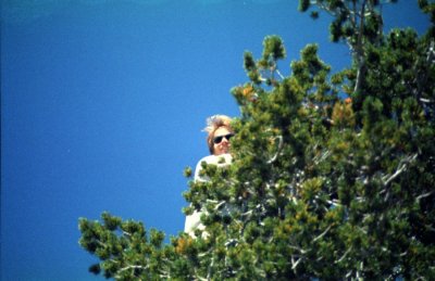 Josiah in a treetop