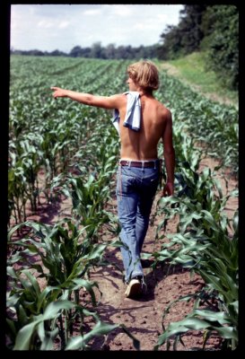 Bob L walking through the corn
