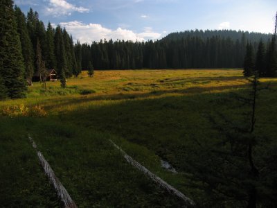 Government Camp meadow