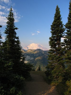 Mt Rainier at Scout Pass