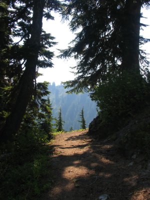 Trail view ahead