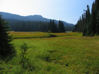 Bumping Creek Meadows