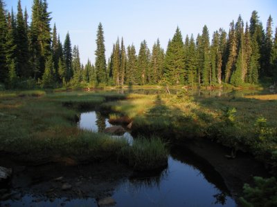 Meadow and creek near Snow Lake