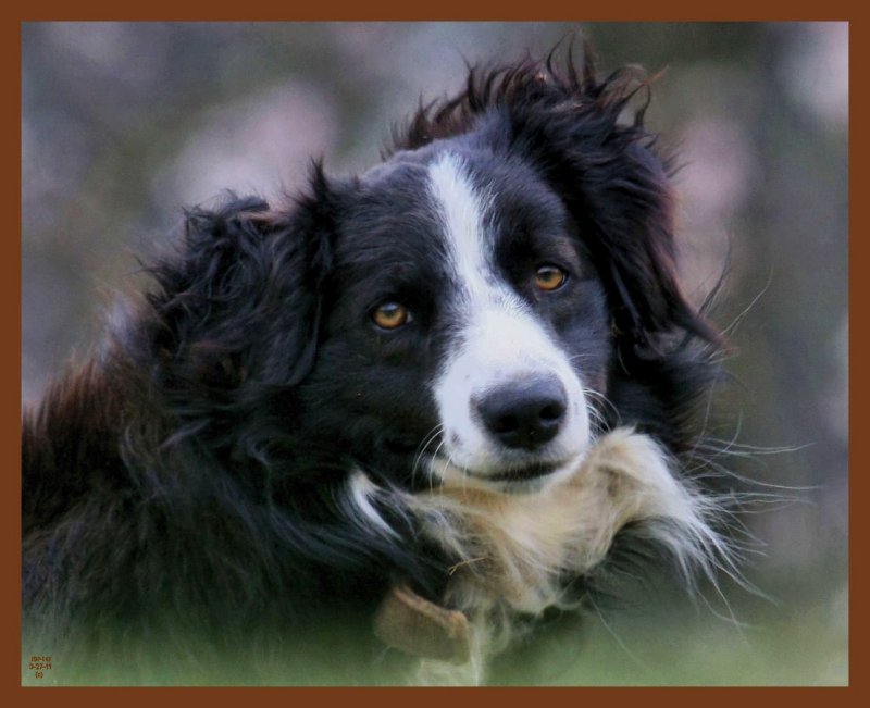 jake-3-27-11-631b.JPG