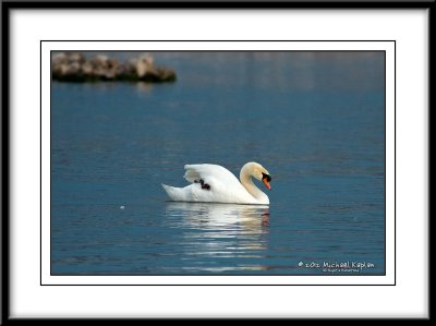 _DSC0501crop.jpg