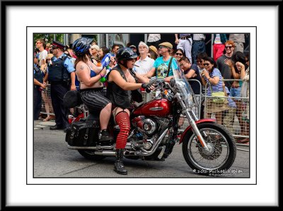 _DSC3941crop.jpg
