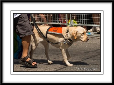 _DSC4281crop.jpg