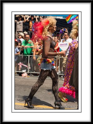_DSC4399crop.jpg
