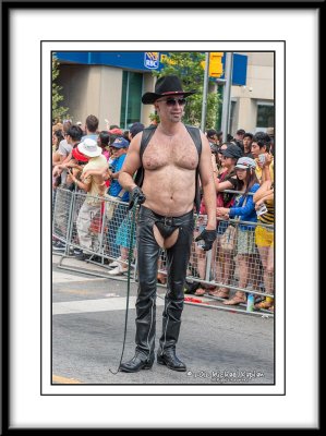 _DSC4701crop.jpg