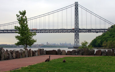 Ross Dock