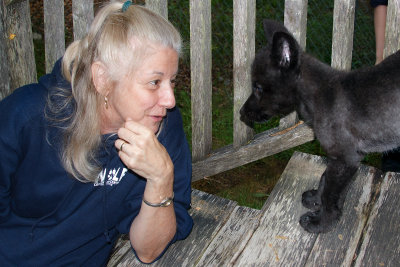 Zephyr Has a Word with a Volunteer about Dinner Times