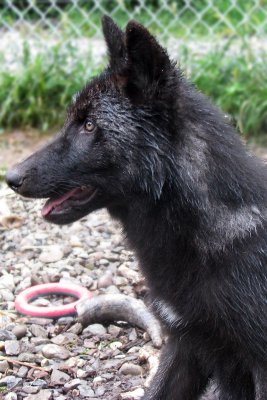 Zephyr at 4 Months
