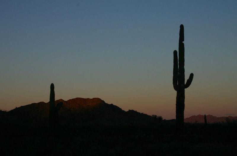 Desert Sunset