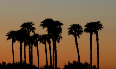 Arizona Sunset