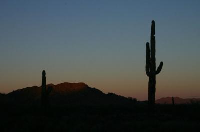 Desert Sunset