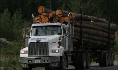 Lillooet - Logging Truck