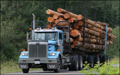 Lillooet - Logging Truck