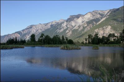 Texas Creek Road