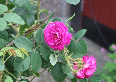 g4/83/664783/3/136486322.v9UOHONb.jpg