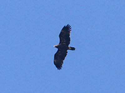 g4/83/664783/3/138513799.2CdqIVeB.jpg