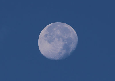 La Luna Lomma 07.14 AM 20120903.jpg