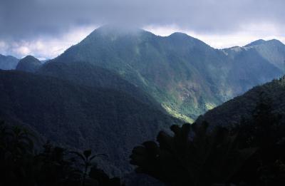 JOCOTOCO CLOUD FOREST 050717jpg.jpg