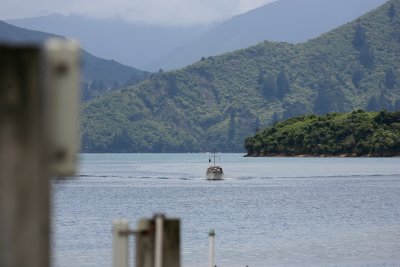 071204 1m Queen Charlottas Strait seen from Picton.jpg