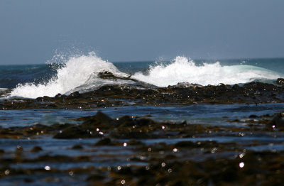 071208 1f South Pacific Ocean by Petrified Forest.jpg