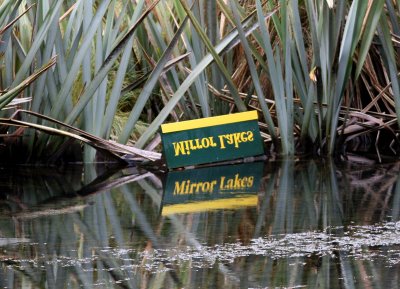 071211 1a Mirror Lakes.jpg