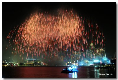 ndp_fireworks_2011