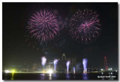 Fireworks 2008 005.jpg