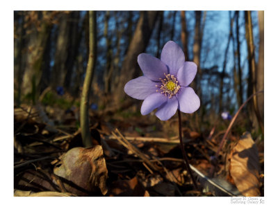 2012-03-21 16.25.53_FR_.jpg
