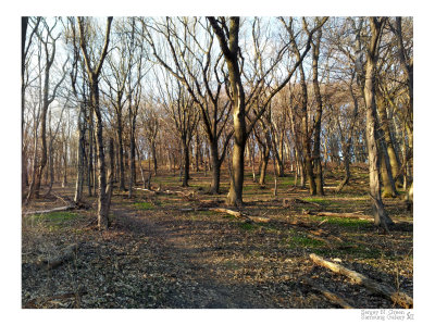 2012-03-21 16.51.99_FR_.jpg