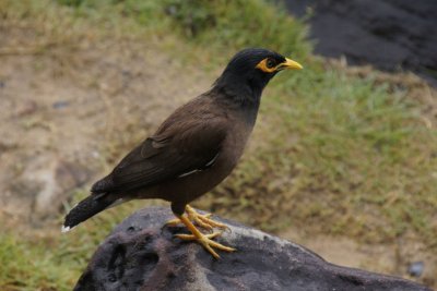 _DSC9686.jpg