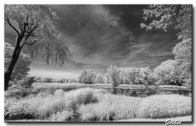 Photographie infrarouge / Infrared Photography