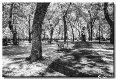 Parc Molson, Rosemont-02