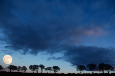 18th March 2011 <br> nearly full moon